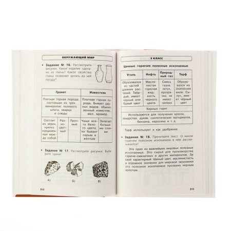 The entire elementary school course in diagrams and tables. 1-4 class. Russian language, mathematics surrounding the world-3