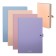 Folder-carte, A4, 4 departments, 600 μm, Erichkrause "Matt Manga", on the button, embossing "Sand", mix