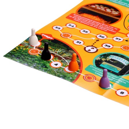 Board game Walked Broditer for children "Rest without rules", 2-4 players, 3+-4