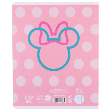 A set of notebooks 10 pieces, 12 sheets, in a cage, cover coated cardboard, Minnie Mouse-1