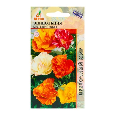 Seeds Ashcholcius California Terry Rainbow 0.1g*