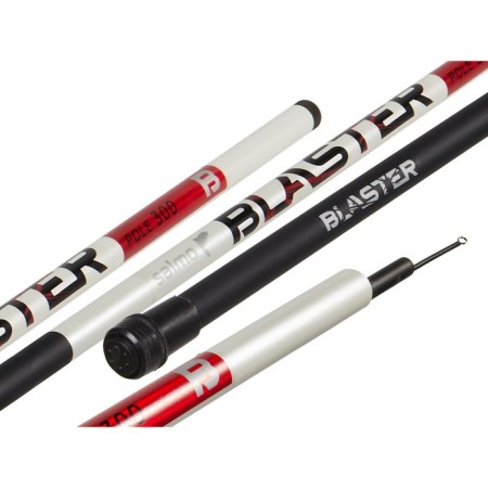 Float b/c Salmo Blaster Pole, test 5-20 g, length 3 m-1