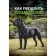 How to extend your dog’s life. Korets E. et al.