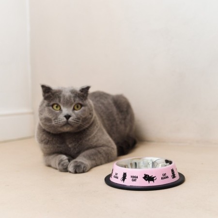 Metal bowl for a cat with a non -slip base Yoga Cat, 235 ml, 15x3.5 cm-2