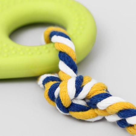 Chewing toy with rope for dogs "palm", 10 cm, salad-3