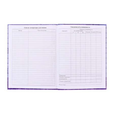 Diary for grades 1-4 "Bear", hard cover, glossy lamination, 48 sheets-7