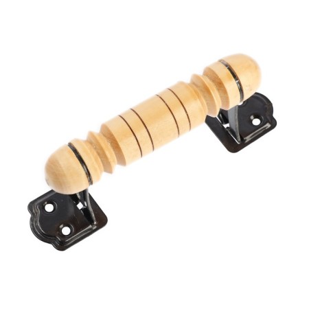 The handle-slop RS-100-S Causiasis-10