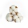 Dry flowers of cotton, set 3 pcs., Size 1 pc. 6 × 6 cm, white color