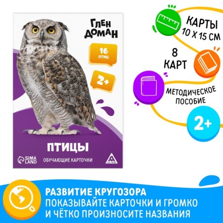 Educational cards according to the method of Glena Doman "Birds", 8 cards, 2+
