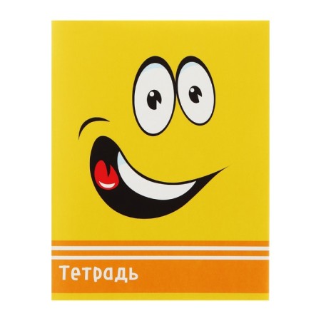 Notebook of 48 sheets in Calligrata Smiley, cover coated cardboard, offset block, mix-6