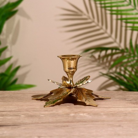 Climb "Liszt" Brass 8 cm-1