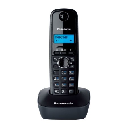 Radio Telphone Dect Panasonic KX-TG1611RUH Gray, AO