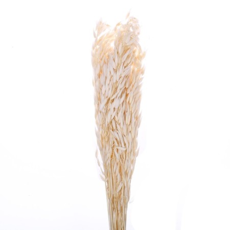 Sukhotzet "Sowing", White, 50 g in packaging-3