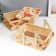 Bamboo Bamboo 2B1 "Garden with peonies" with handles 21x20x27 cm