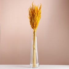 Set of dried flowers 