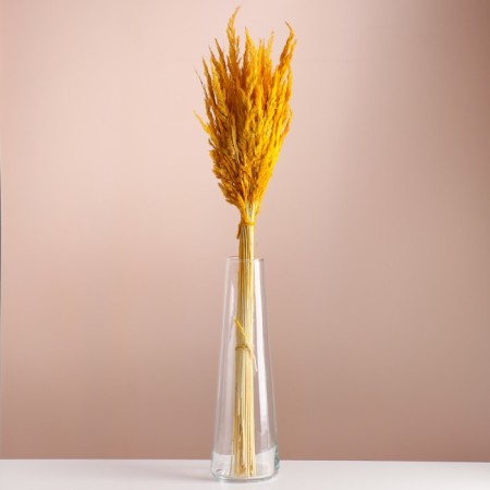 Set of dried flowers "Weinik", banch length 65 (+/- 6 cm), yellow