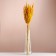 Set of dried flowers "Weinik", banch length 65 (+/- 6 cm), yellow
