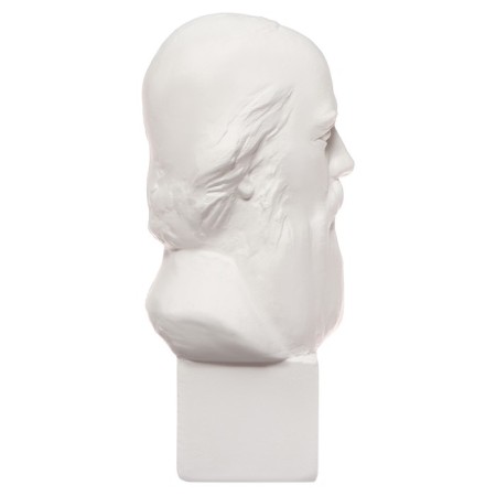 Gypsum figure famous people: Bust Saltykov-Shchedrin 20*9.5*10.5 10-195-2