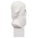 Gypsum figure famous people: Bust Saltykov-Shchedrin 20*9.5*10.5 10-195