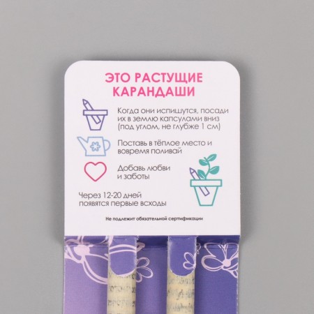Growing gift pencils Mini "lavender + chamomile" set 2 pcs.-2