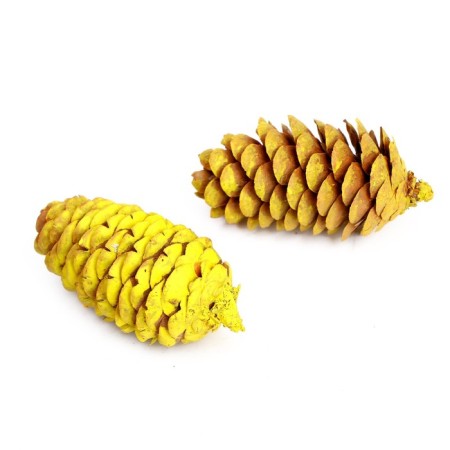 Set of spruce cones "Decor" 2 pcs., Yellow-2
