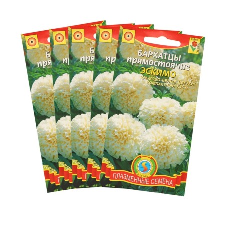 Seeds of velvets stunted "Eskimo", set 5 pcs