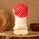 Amulet - box "Browner with a spoon", 25 cm, mix