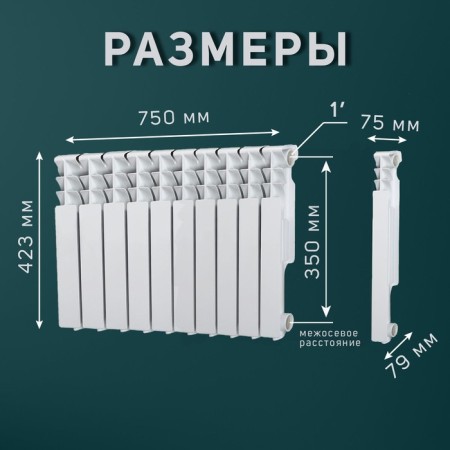 Tropic 350x80 mm radiator aluminum, 10 sections-4