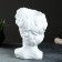 Kashpo - Organizer "David's head" Belaya, 19x27x17cm