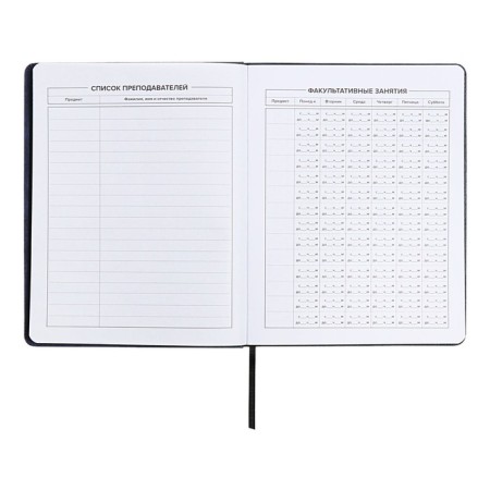 School diary for grades 1-11, solid cover, artificial leather, applique, pancake embossing, metal scenes, silk-screen water, lies, 48 ​​sheets, block 80g/m2, blue-5