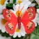 Butterflies for decor and floristry, on the clothespin, plastic, red, mix, 5 cm and 8 cm