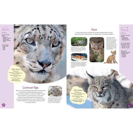 Encyclopedia. The colorful world of animals-1