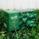 Garland "thread" 20 m, dark thread, 200 LED, glow of multi, 2 modes, solar battery