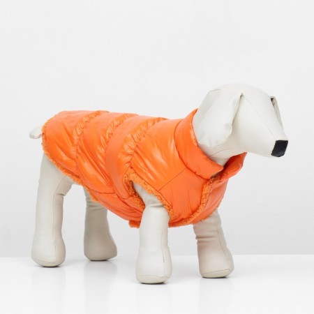 Dog jacket "Shine", s (DS 25, OG 37, Osh 24 cm, up to 5 kg), orange-1