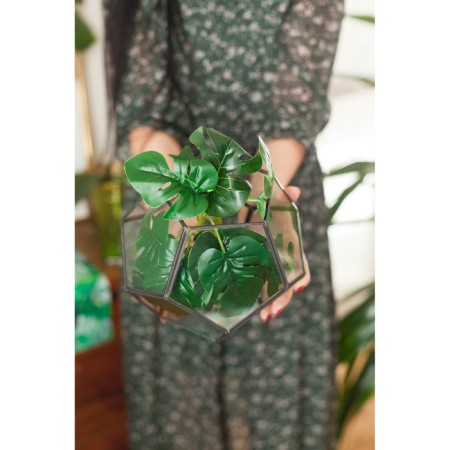 Florarium frame "Agnes" 18x20 cm, black-3