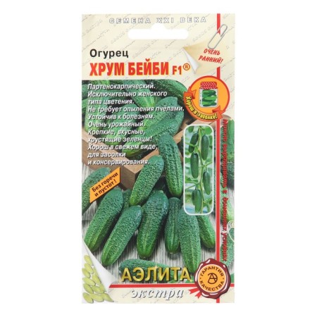 Cucumber seeds "Krum Baby", F1