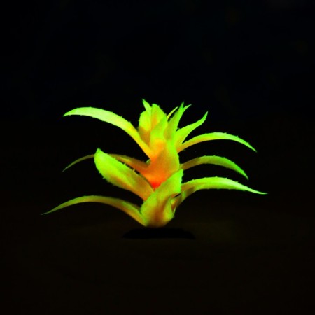 The artificial aquarium, luminous plant, 10 cm, red-4