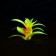 The artificial aquarium, luminous plant, 10 cm, red