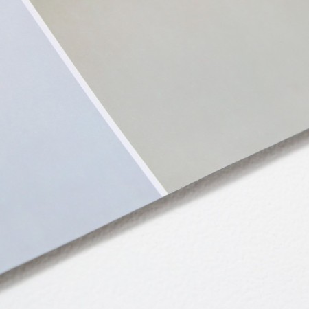 Photophone bilateral paper 300 gr "elegant plants" 57x87 cm-4