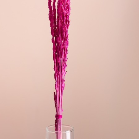 Set of dried flowers "Raigrace", banch 21 pcs, length 60 (+/- 6 cm), fuchsia-1