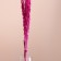 Set of dried flowers "Raigrace", banch 21 pcs, length 60 (+/- 6 cm), fuchsia