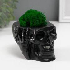 Kashpo concrete 