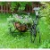 53-355 Stand 53-355 Garden Bicycle with a lantern 93x44x60 cm