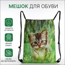 Bag for shoes on the lace, green color