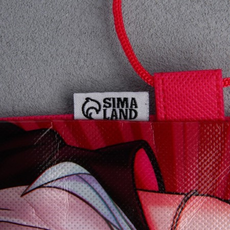 A bag for shoes "Anime Girl" Polyester, size 30 x 40 cm-9
