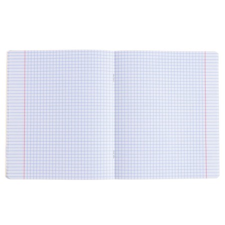 Subject notebook, 48 sheets, cage, computer science, erichkrause "BENFORMED", plastic cover silk-screen cover, block OFSET 100%, information block-4