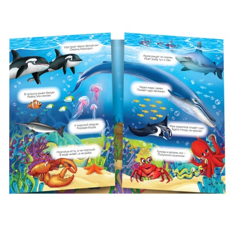 Reusable stickers Set "Amazing Animals", 2 pcs.-4