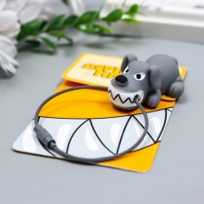 PVC keychain on the 