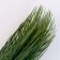 Cast a twig, green, set 1 pc.