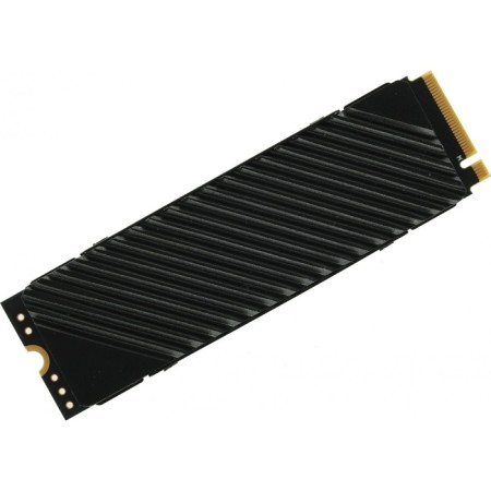 SSD Digma PCI-E 4.0 X4 1TB DGST4001TG33T TOP G3 M.2 2280-3